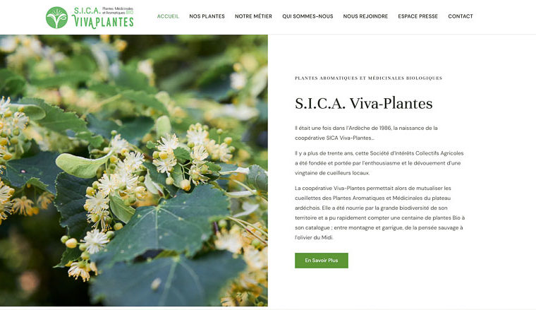 site vitrine - coopérative plantes aromatiques et médicinales
